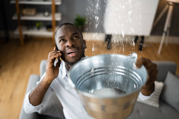 Best Water damage restoration specialists  in Clearwater, FL