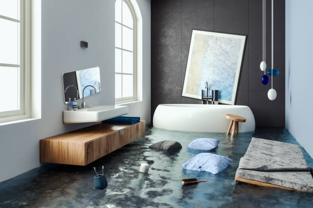 Best Carpet water damage restoration  in Clearwater, FL