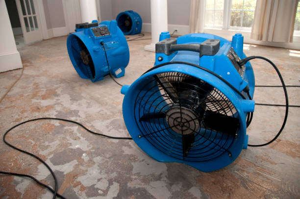 Best Emergency water damage restoration  in Clearwater, FL