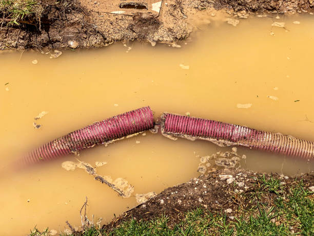 Sewage cleanup and water damage restoration in Clearwater, FL