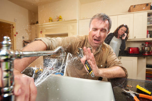 Best Flood damage cleanup  in Clearwater, FL